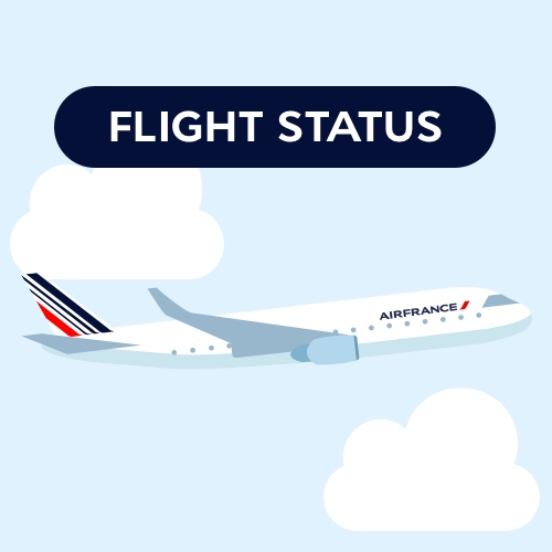 Flight Status